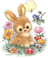 cute bunny :cutebunny: