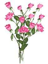 :bouqueofpinkroses: