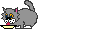 :cat5: