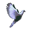 flying dove left :flyingdoveleft: