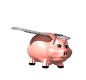 flyingpig :flyingpig: