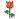 rose :rose: